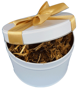 Send Poop Tin with Strong Revenge