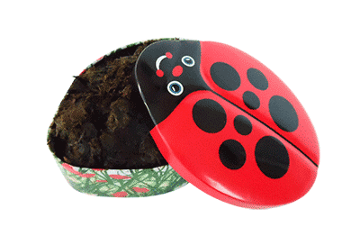 Lucky Beetle with cow pat